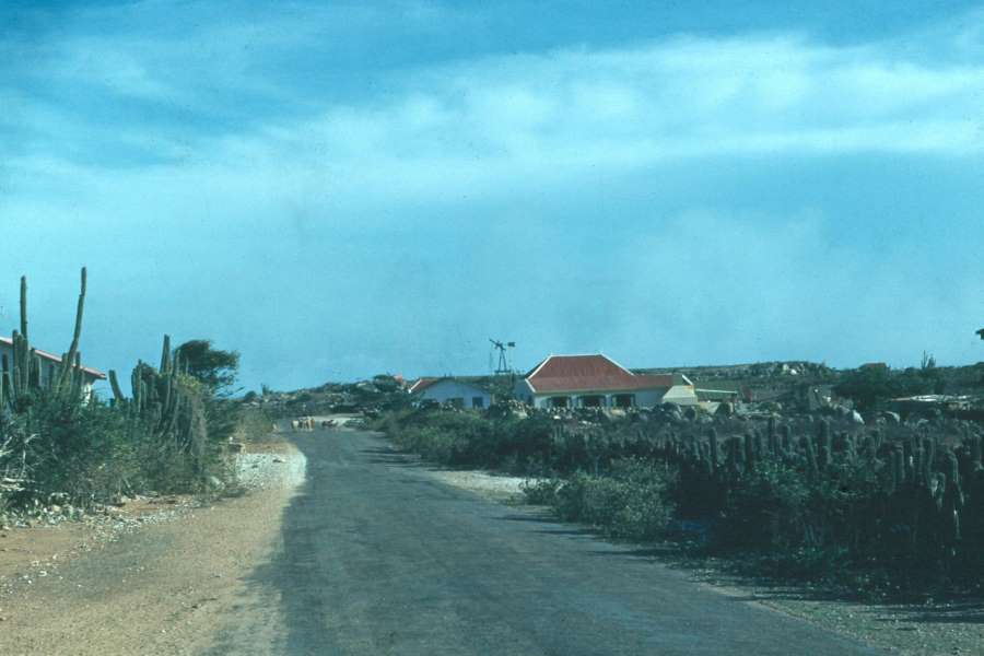 Cnc29Road.jpg