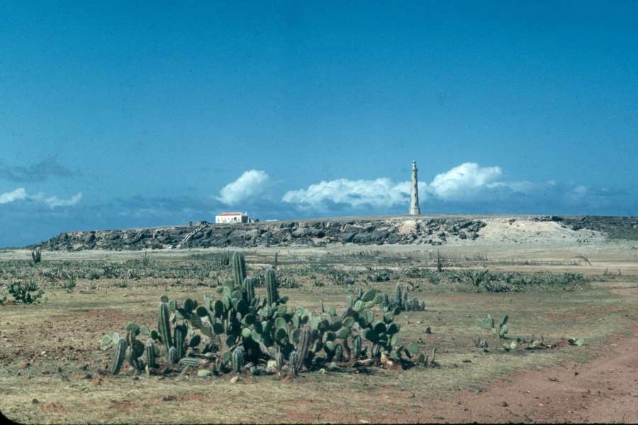 Cnc40Calif.Lighthouse.jpg