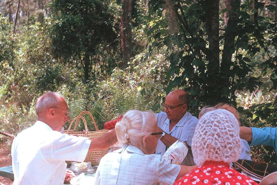 Ppl17July4Picnic2.jpg