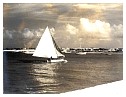 194xsailingnearrodgersbeach.jpg