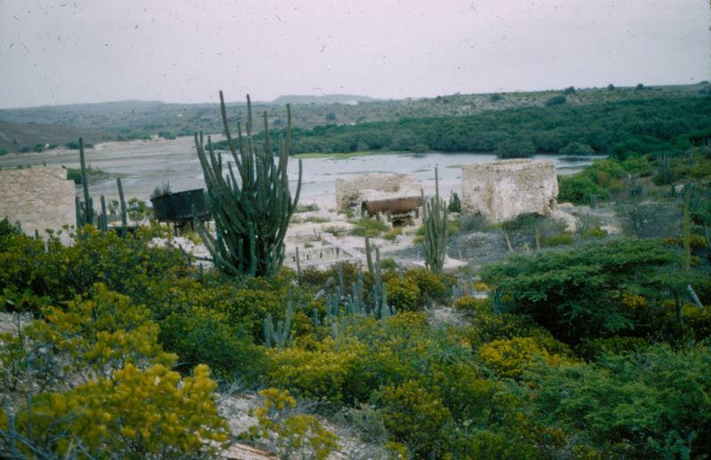 a_aruba_13_gold_smelter_a.jpg