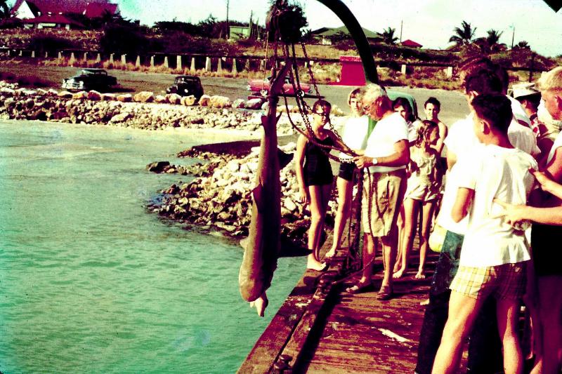 SHARK AT BIG LAGOON.jpg